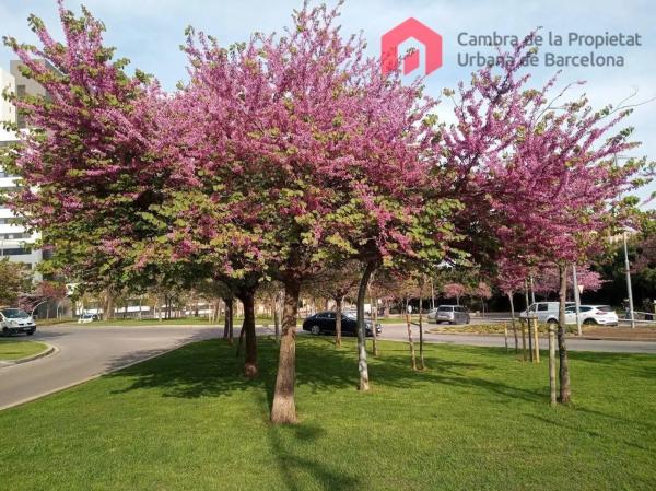 Terreno en Barrio La Florida