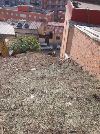 Terreno en calle Menéndez y Pelayo