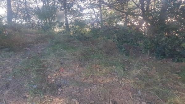 Terreno en calle de Roger de Llúria