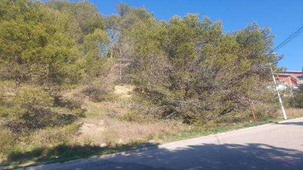 Terreno en calle de Roger de Llúria