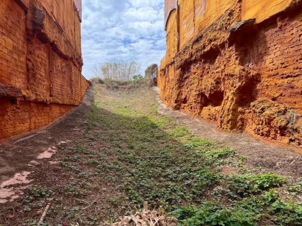 Terreno en Sant Francesc, 28
