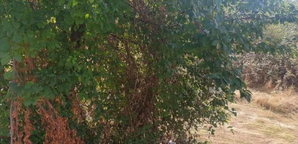 Terreno en Eix del Llobregat