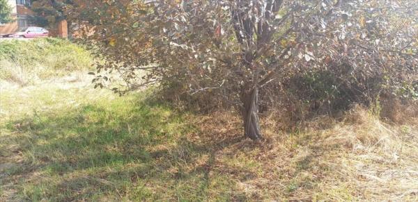 Terreno en Eix del Llobregat