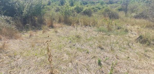 Terreno en Eix del Llobregat