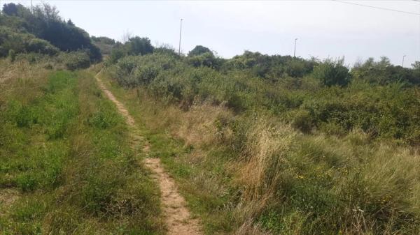 Terreno en Eix del Llobregat