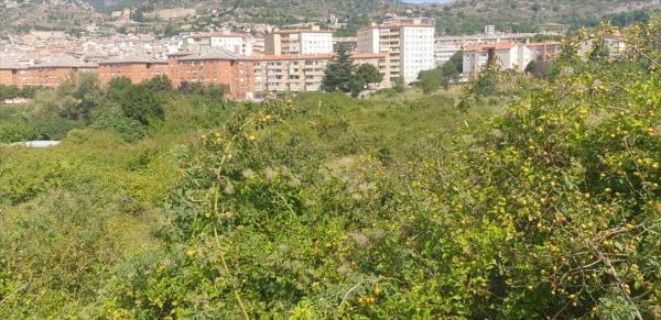 Terreno en Eix del Llobregat