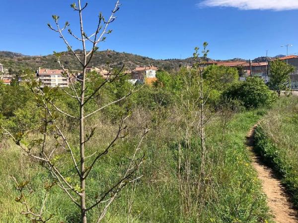 Terreno en Urbanització Serra Casampons