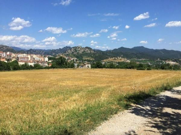 Terreno en camino Sant Bartomeu
