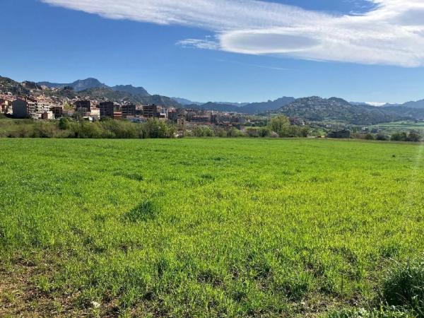 Terreno en camino Sant Bartomeu