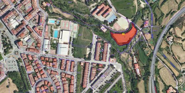 Terreno en camino de Pedret