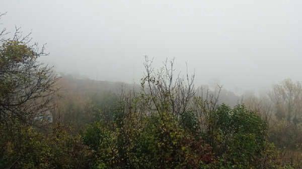 Terreno en camino de Pedret