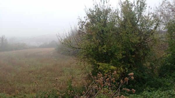 Terreno en camino de Pedret