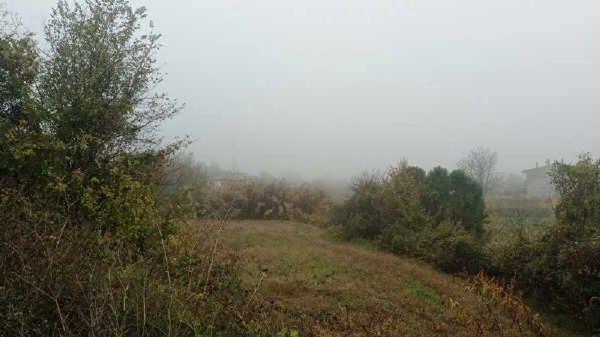 Terreno en camino de Pedret