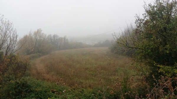 Terreno en camino de Pedret