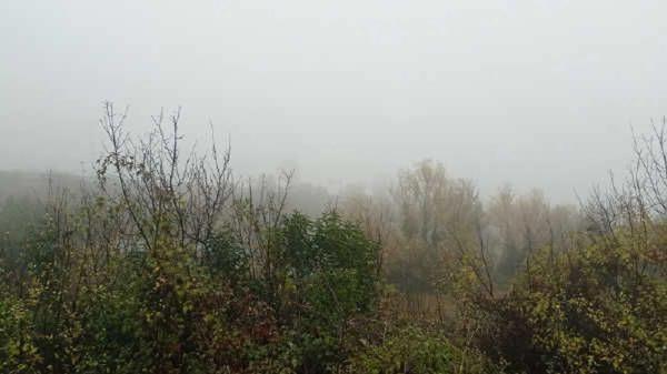 Terreno en camino de Pedret