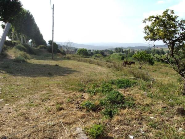 Terreno en carretera de Sant Fruitós