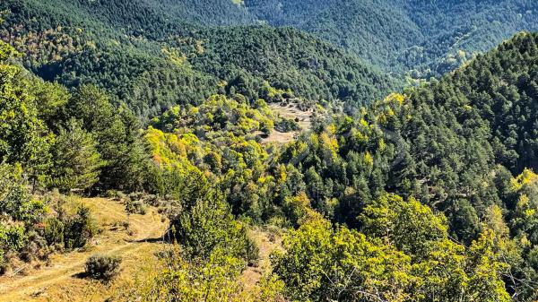 Terreno en alrededores de Berga