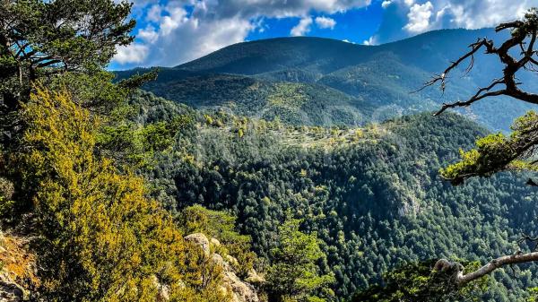 Terreno en alrededores de Berga