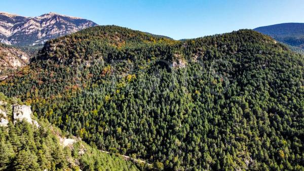 Terreno en alrededores de Berga