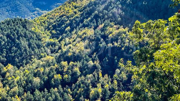Terreno en alrededores de Berga