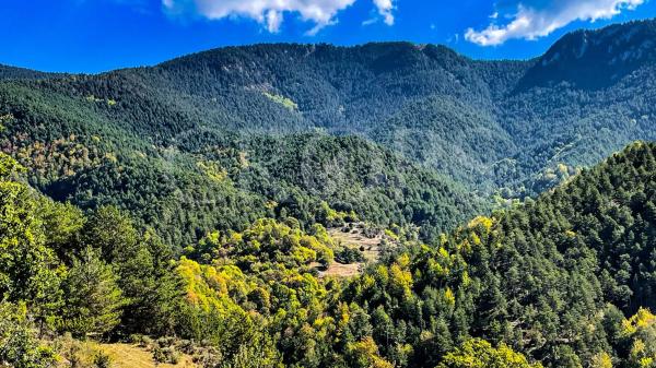 Terreno en alrededores de Berga