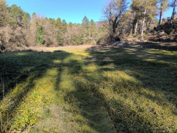 Terreno en Cal Vicens