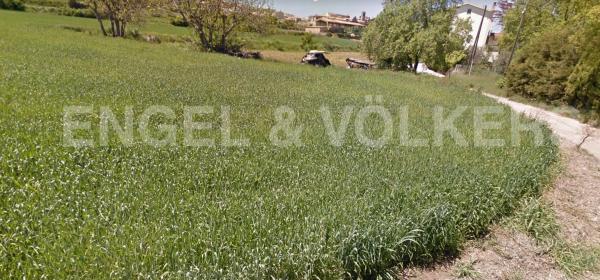 Terreno en Casserres