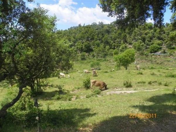 Terreno en Berguedà