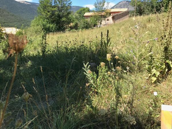 Terreno en Cal Rander, 6 Parcela