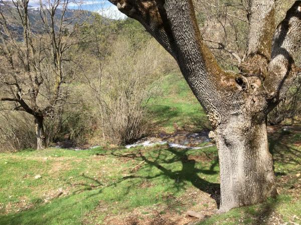 Terreno en Cal Rander, 6 Parcela