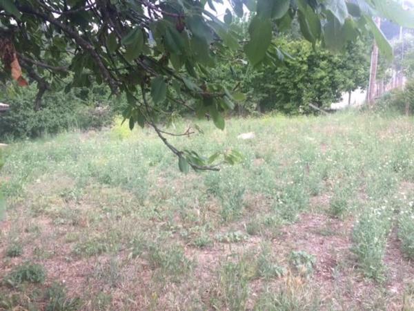 Terreno en calle Sense Nom, 12