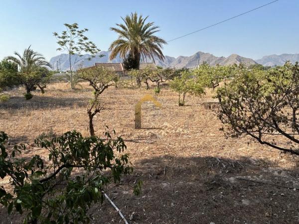 Chalet en La Murada-Los Vicentes