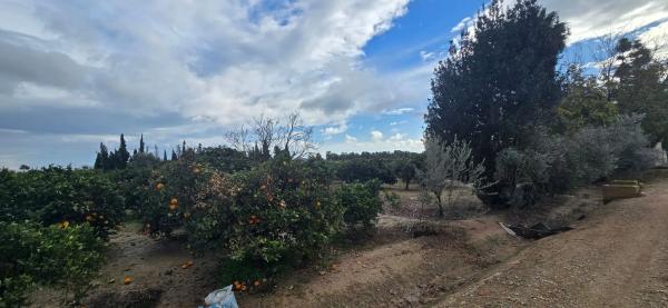 Finca rústica en Partida lo garriga s/n