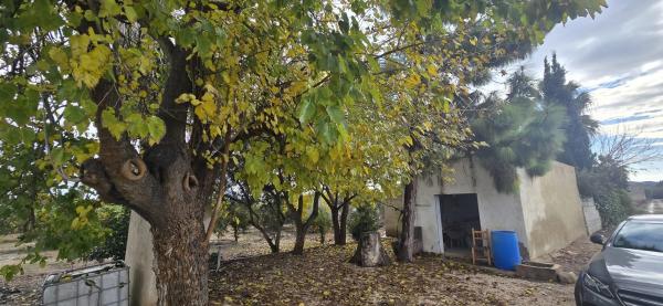 Finca rústica en Partida lo garriga s/n