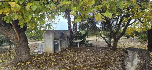 Finca rústica en Partida lo garriga s/n