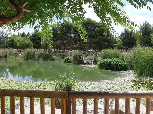 Casa independiente en calle Nuestra Señora del Rosario