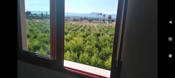 Casa independiente en calle José Antonio Cutillas, 10