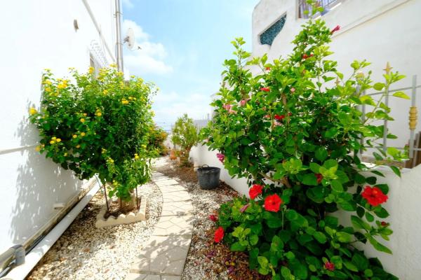 Chalet en San Miguel de Salinas