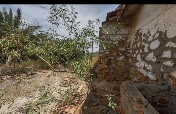 Finca rústica en Partida el Realengo