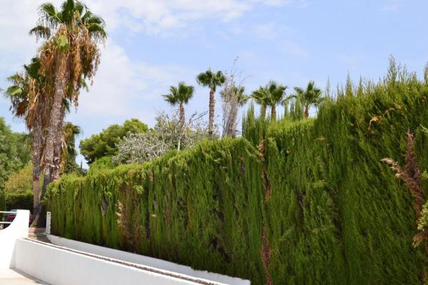 Casa independiente en camino Peña de las Águilas