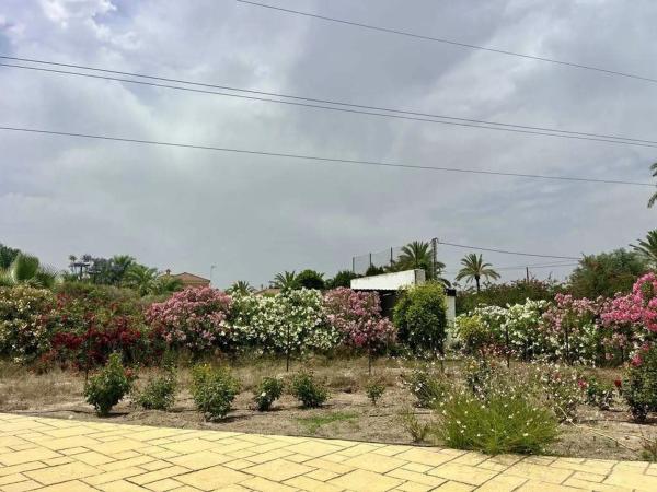 Finca rústica en camino del Transformador, 88