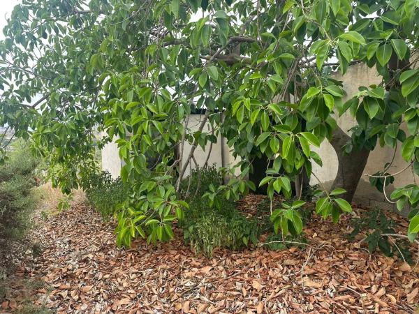 Casa independiente en Partida Carrus, 2290