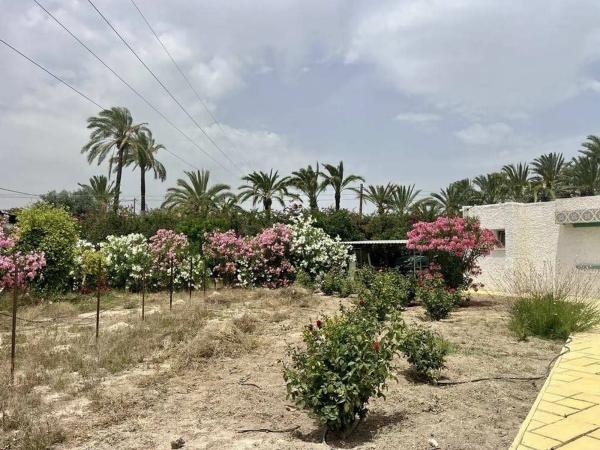 Finca rústica en camino del Transformador, 88