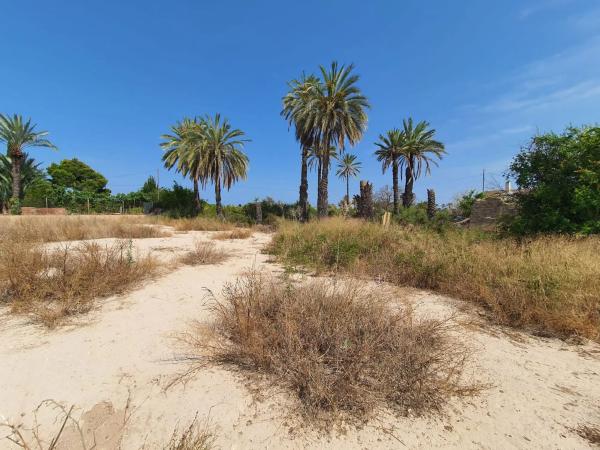 Finca rústica en camino Fondo de l'Ermita, 134