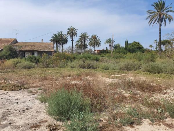 Finca rústica en camino Fondo de l'Ermita, 134