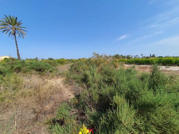 Finca rústica en camino Fondo de l'Ermita, 134