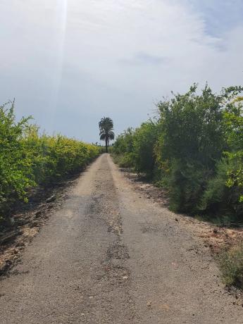 Finca rústica en camino Fondo de l'Ermita, 134
