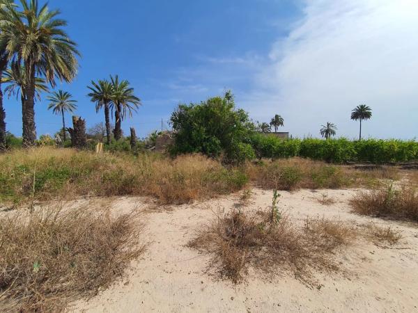 Finca rústica en camino Fondo de l'Ermita, 134