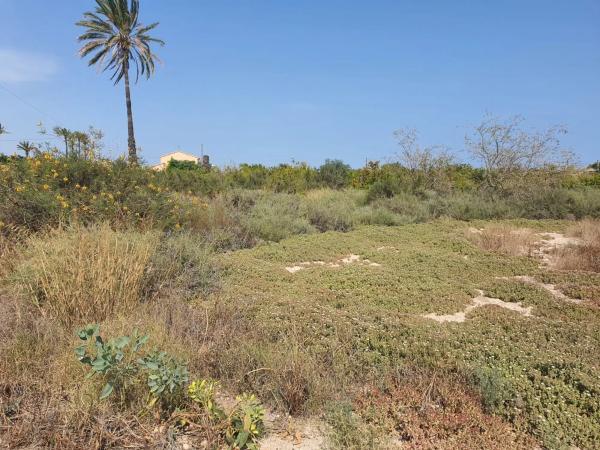 Finca rústica en camino Fondo de l'Ermita, 134