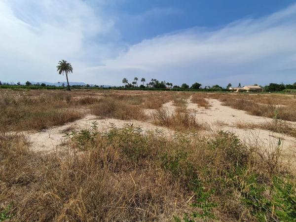 Finca rústica en camino Fondo de l'Ermita, 134